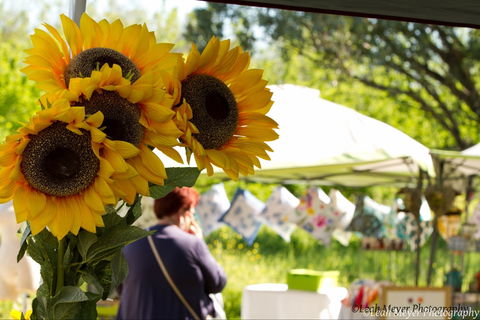 Blackville Arts And Market Day - Accommodation Perth 0