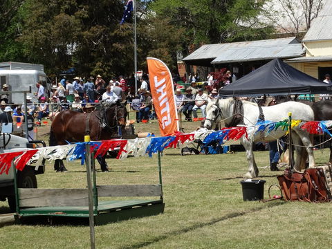 Carcoar Show - Accommodation Perth 0
