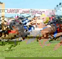 Casino Cup - Accommodation Perth