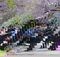 Celtic Festival of Queensland - Accommodation Perth