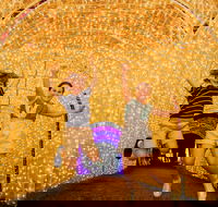 Christmas Lights Spectacular New Year's Eve at Hunter Valley Gardens - Accommodation Perth