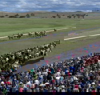 Cooma Sundowners Cup - Accommodation Perth