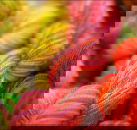 Creative Fibre - Accommodation Perth