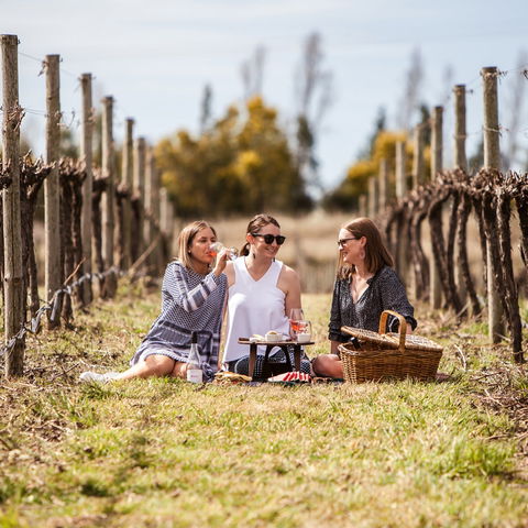 Family Picnic Weekend - Perth Resorts 0