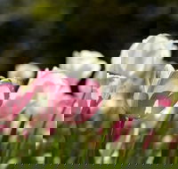 Floriade Reimagined - Accommodation Perth