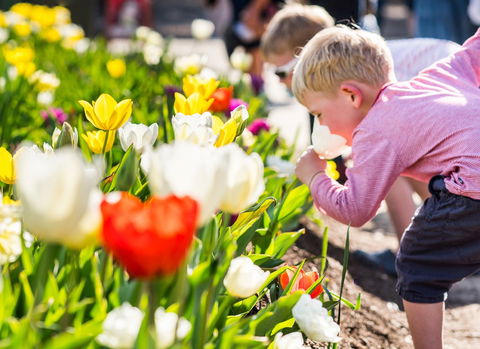 Floriade: Reimagined - Accommodation Perth 1