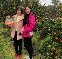 Fruit Taste Adventure Tours