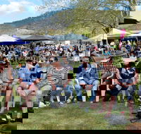 Jamming at Jingellic - Accommodation Perth