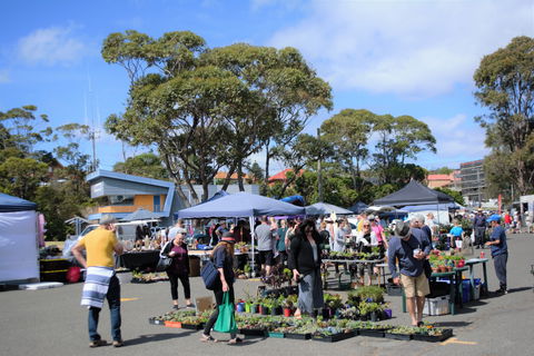 Marine Rescue Ulladulla Wharf Markets - Accommodation Perth 1