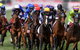 Melbourne Cup Lunch Cruise With Vagabond Cruises - thumb 1