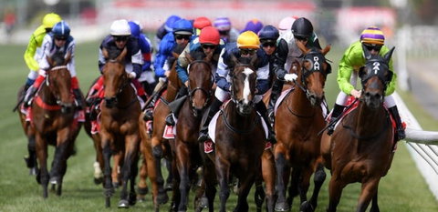 Melbourne Cup Lunch Cruise With Vagabond Cruises - Accommodation Perth 1