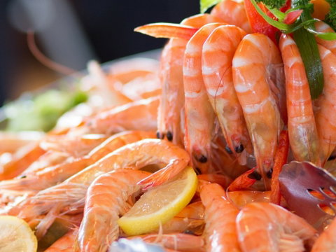 Melbourne Cup Lunch Cruise With Vagabond Cruises - Accommodation Perth 2