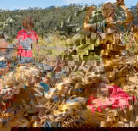 Mini Muddies Obstacle Challenge at Bunnamagoo Estate - Accommodation Perth