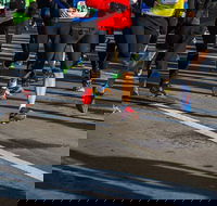 Moruya Town to Surf Fun Run - Accommodation Perth