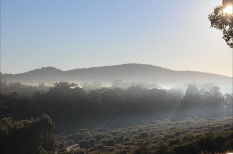 Mudgeeque - Perth Resorts 0