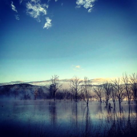 Scenic Rim Ultra - Accommodation Perth 0