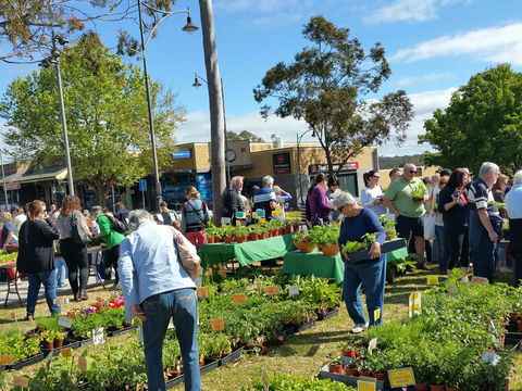 Springwood Growers Market - Accommodation Perth 1
