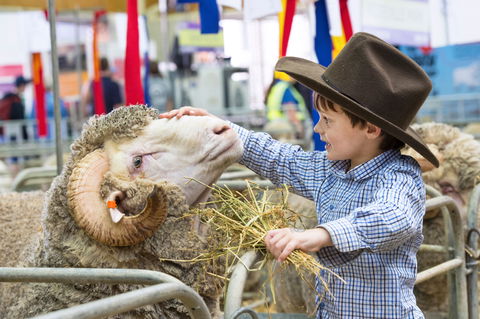 Sydney Royal Easter Show - Accommodation Perth 0