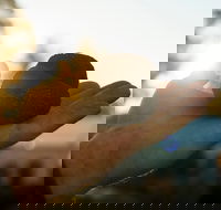 The Truffle Festival - Canberra Region - Accommodation Perth