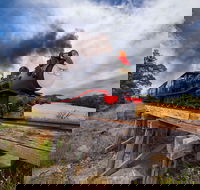 The Bellarine Railway Santa Train Specials - Accommodation Perth