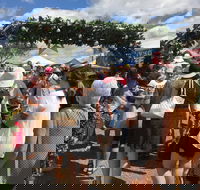 The Christmas Fair Mount Penang Gardens Kariong - Accommodation Perth