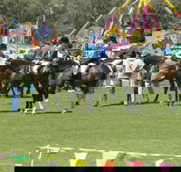 Wangaratta Show - Accommodation Perth