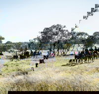 Weddin Mountain Muster - Accommodation Perth