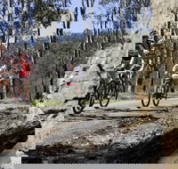 Wollombi Wild Ride Mountain Bike Ride - Accommodation Perth