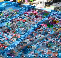 Wyee Markets - Accommodation Perth