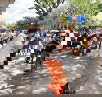 Australian National Busking Championships - Accommodation Perth