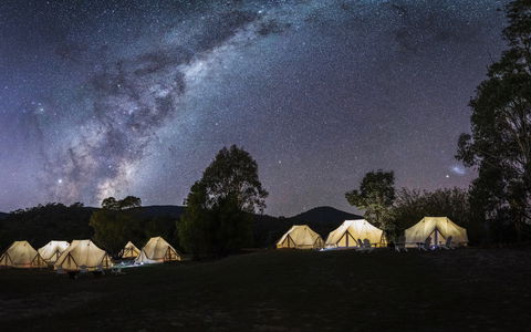 A Wild Night Out - Spring - Accommodation Perth 6