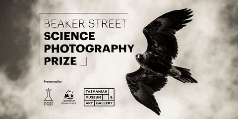 Beaker Street Science Photography Prize - Accommodation Perth 0