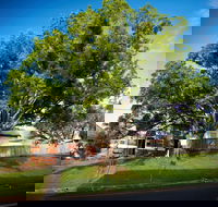 Big Bat Wildlife and Eco Festival - Perth Resorts