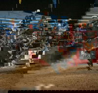 Black Opal Bull and Bronc Ride - Perth Resorts