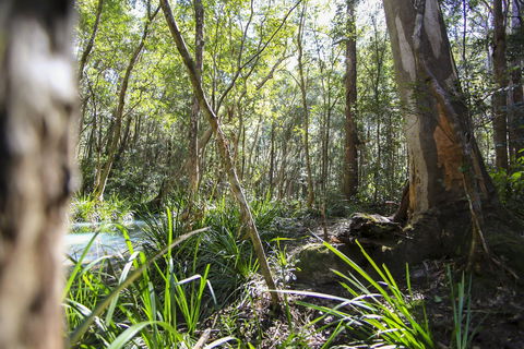 Bottlebutt Bash Trail Run - Accommodation Perth 0