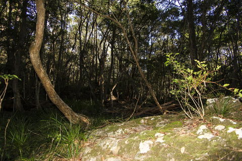 Bottlebutt Bash Trail Run - Accommodation Perth 1