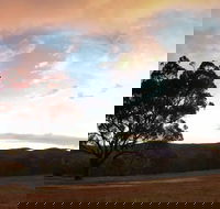 Christmas in July Jumpers and Jazz - Accommodation Perth