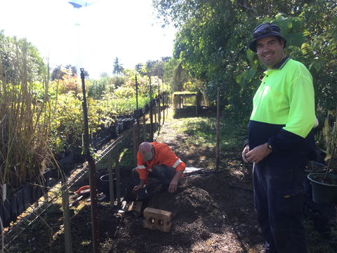Conservation Volunteers Australia Townsville - Ocean View Nursery - Perth Resorts 1