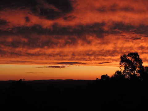 Cottontail Wines Christmas Day Lunch - Perth Resorts 0