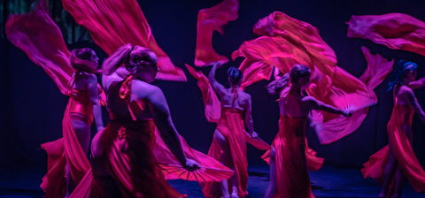 Darwin Fringe Festival - Accommodation Perth 1