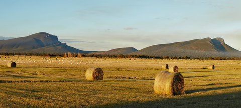 Digital Innovation & Smart Agriculture 2021 Festival - Accommodation Perth 1
