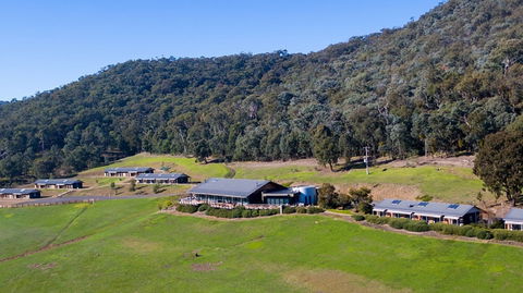 Father's Day Lunch At Holmesglen At Eildon - Accommodation Perth 2