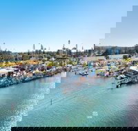Fred Williams Aquatic Festival - Accommodation Perth
