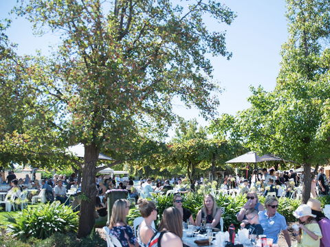Griffith Vintage Festival - Accommodation Perth 2