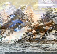 Gundagai Rodeo - Accommodation Perth