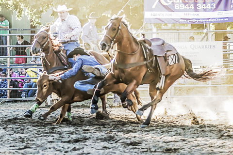Gundagai Rodeo - Accommodation Perth 0