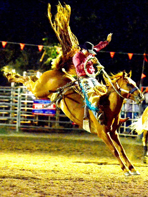 Gundagai Rodeo - Accommodation Perth 1