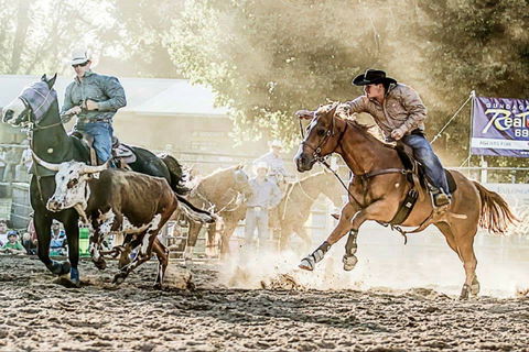 Gundagai Rodeo - Accommodation Perth 2