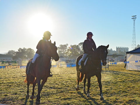 Gunnedah Showjumping Festival - Accommodation Perth 0