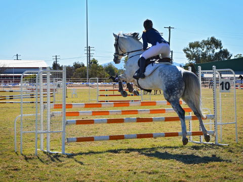 Gunnedah Showjumping Festival - Accommodation Perth 1